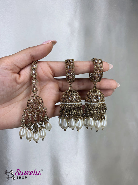 shajani